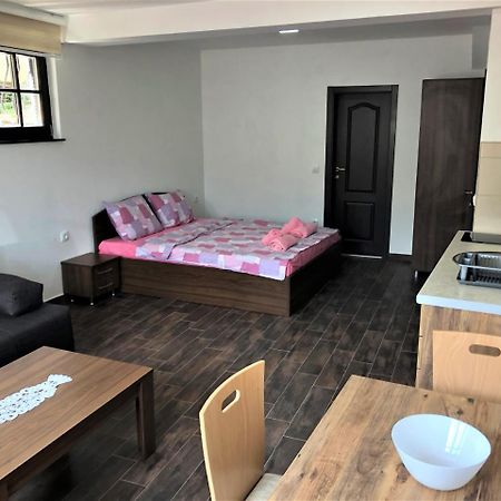 אוהריד Villa Helena מראה חיצוני תמונה